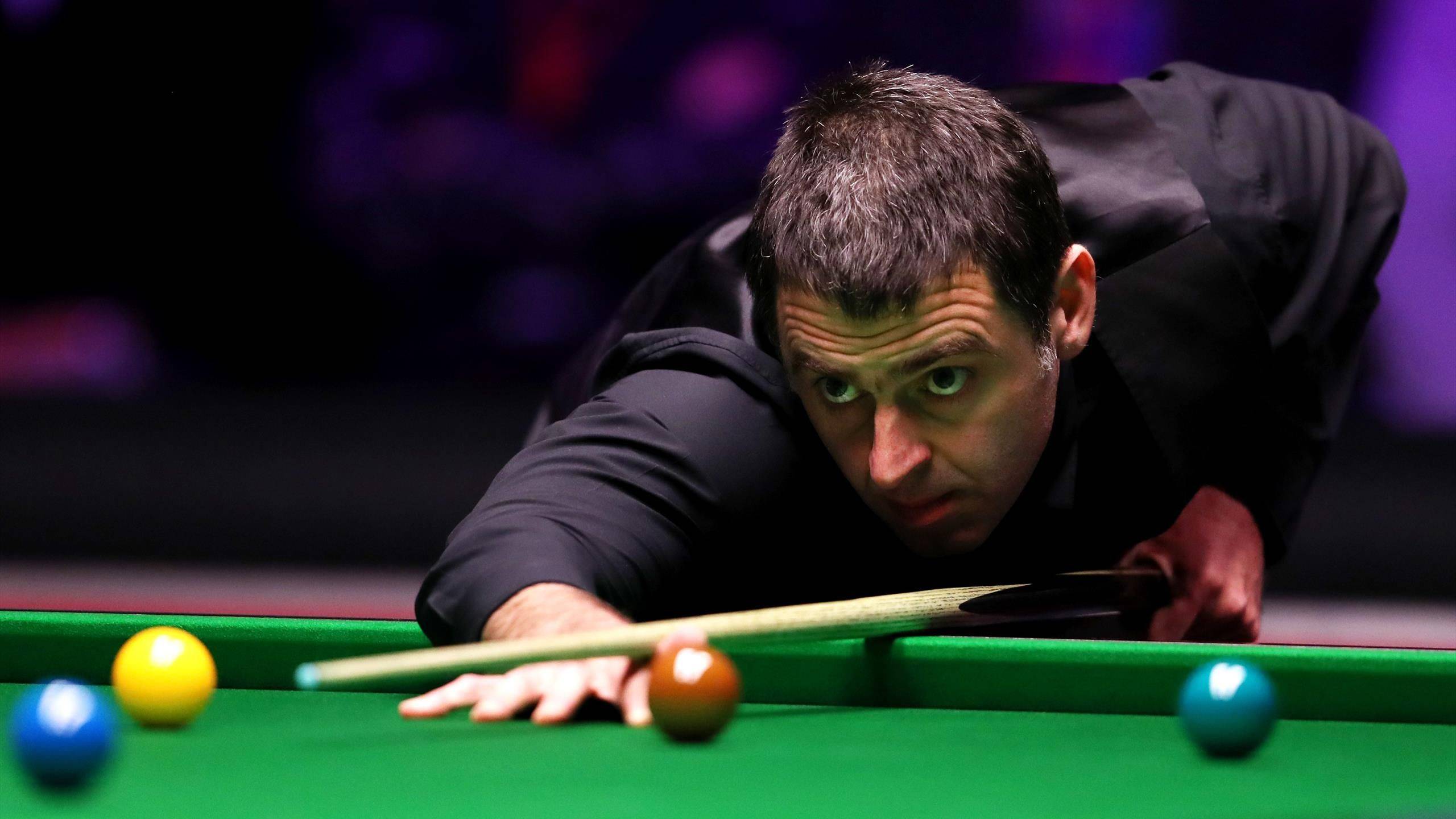 合的阵容 合的阵容