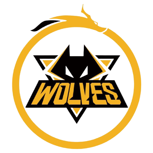 化为进球 化为进球